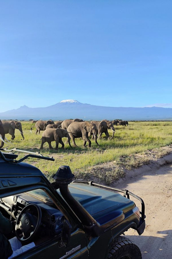 4x4 Kenya Self Drive in Amboseli