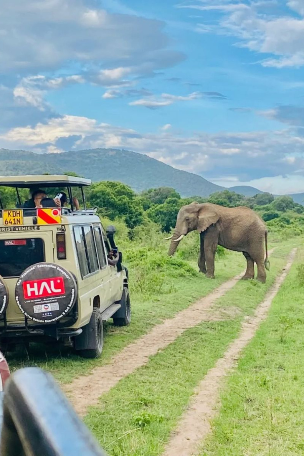 4x4 Kenya Self Drive in Masai Mara
