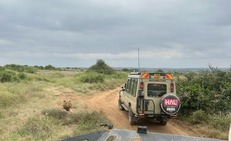 self drive Kenya tours