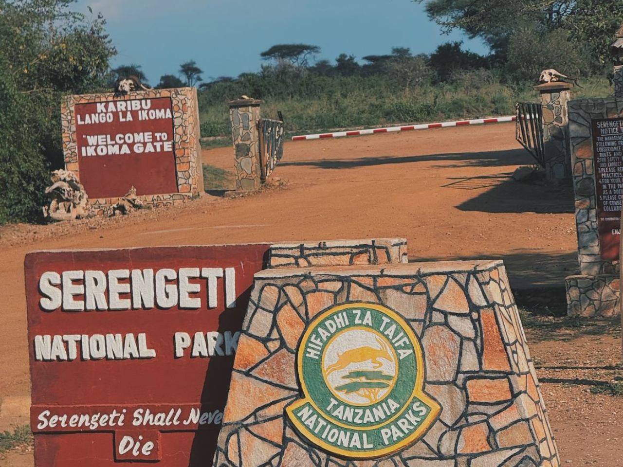 4x4 Kenya Self Drive - Serengeti National Park