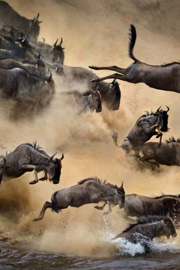 4x4 Kenya Self Drive to the great migration