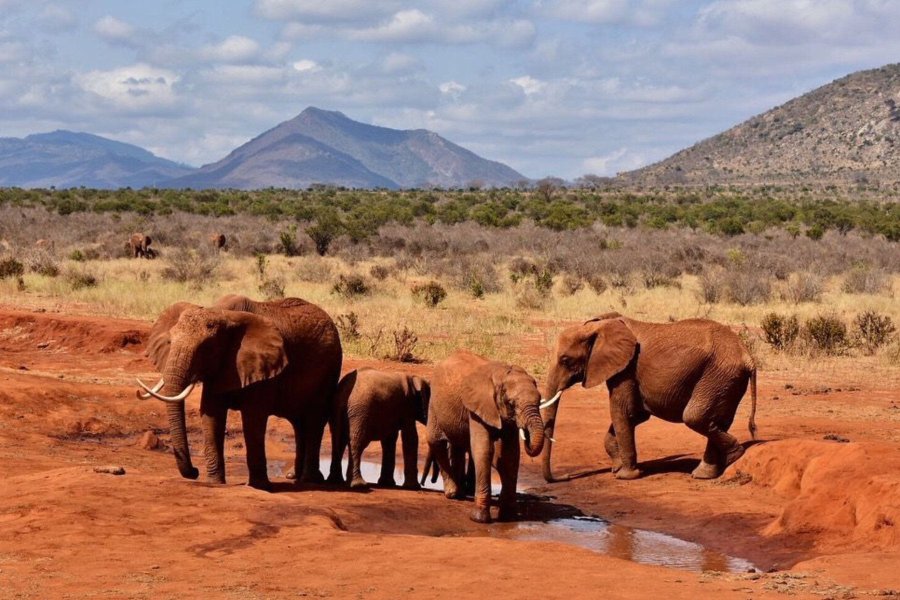 4x4 Kenya Self Drive in Tsavo
