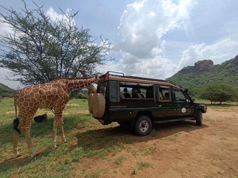 Read more about the article Ultimate Travel Guide to Kenya